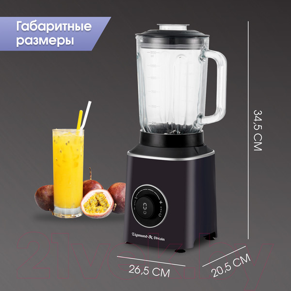 Изображение товара Блендер стационарный Zigmund & Shtain BS-446 D