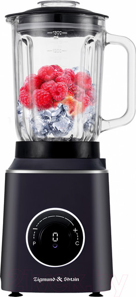 Изображение товара Блендер стационарный Zigmund & Shtain BS-446 D