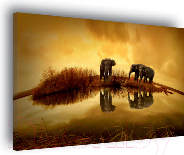 Изображение товара Картина Stamprint Солнечные слоны AM002 (60x85см)