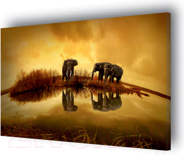 Изображение товара Картина Stamprint Солнечные слоны AM002 (60x85см)