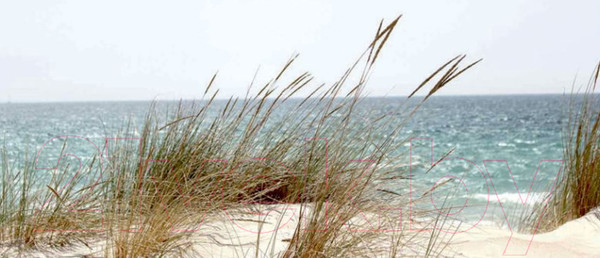 Изображение товара Картина Stamprint Энергия моря SN016 (65x150см)