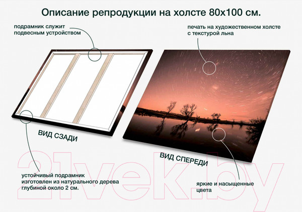 Изображение товара Картина Stamprint Круговорот звезд NR007 (80x100см)