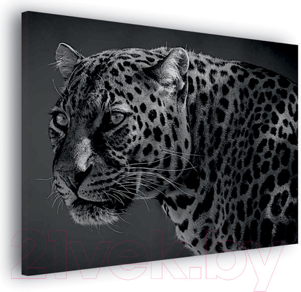 Изображение товара Картина Stamprint Леопард AM003 (80x100см)