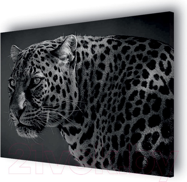 Изображение товара Картина Stamprint Леопард AM003 (80x100см)