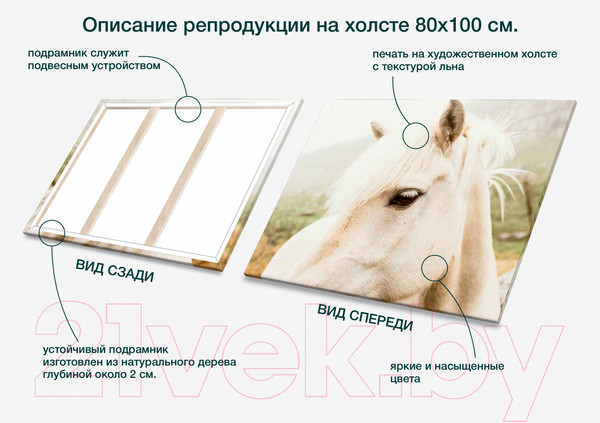 Изображение товара Картина Stamprint Белая лошадь AM007 (80x100см)