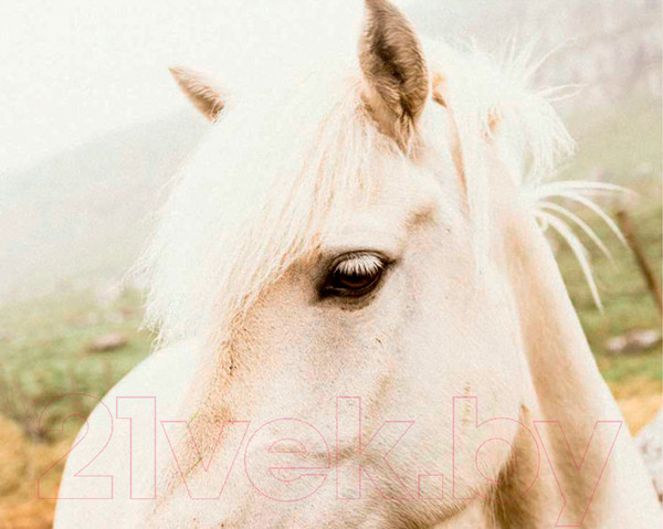 Изображение товара Картина Stamprint Белая лошадь AM007 (80x100см)