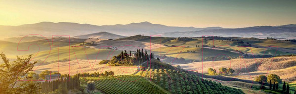 Изображение товара Картина Stamprint Зеленый пейзаж NR014  (45x140см)