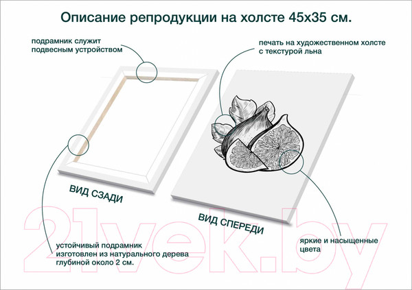 Изображение товара Картина Stamprint Фрукты 2 КС008 (45x35см)