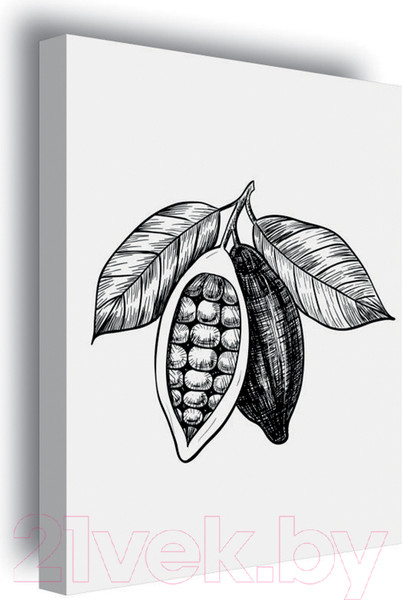 Изображение товара Картина Stamprint Фрукты 3 КС009 (45x35см)