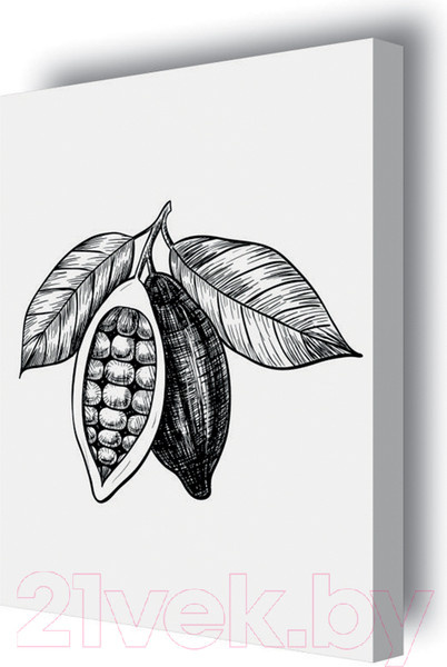 Изображение товара Картина Stamprint Фрукты 3 КС009 (45x35см)