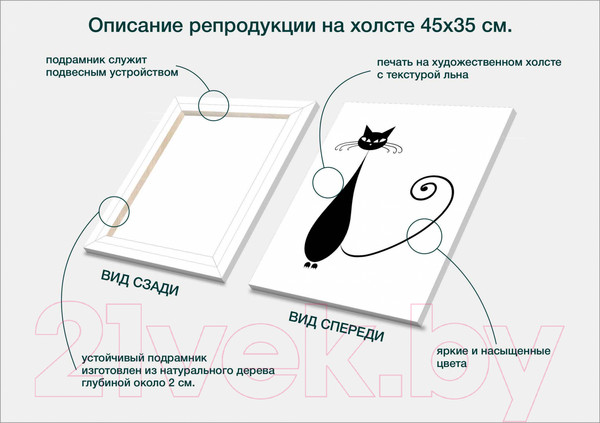 Изображение товара Картина Stamprint Кот 2 TR006 (45x35см)