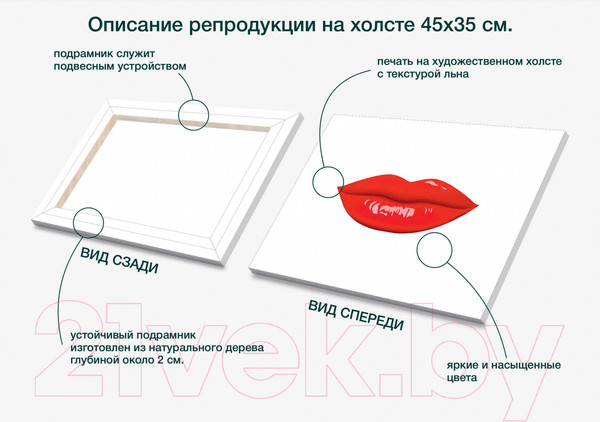 Изображение товара Картина Stamprint Мисс 2 TR011 (35x45см)