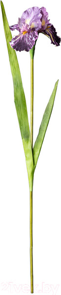 Изображение товара Искусственный цветок Lefard Ирис / 287-501