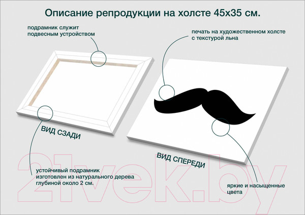 Изображение товара Картина Stamprint Мистер 1 TR012 (35x45см)