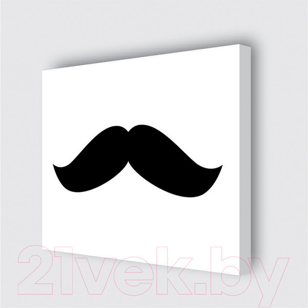 Изображение товара Картина Stamprint Мистер 1 TR012 (35x45см)