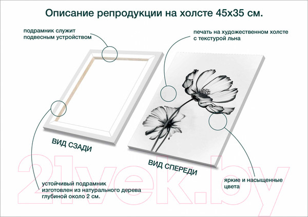 Изображение товара Картина Stamprint Черные цветы 2 TR015 (45x35см)