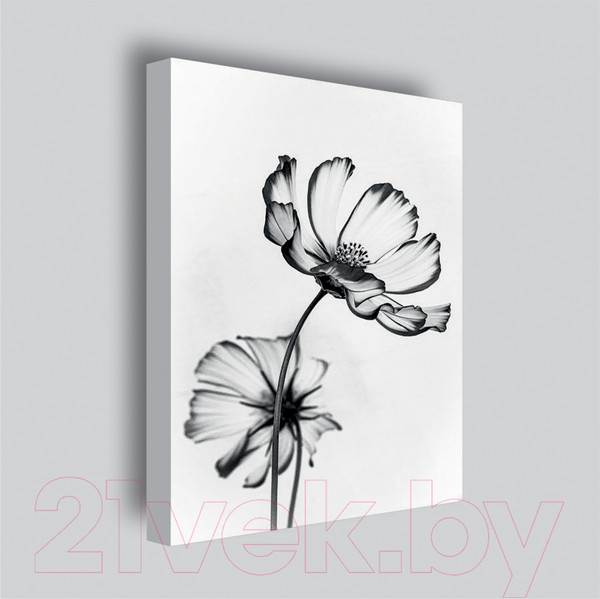 Изображение товара Картина Stamprint Черные цветы 2 TR015 (45x35см)