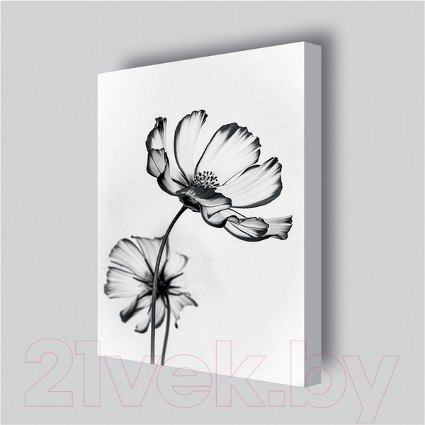 Изображение товара Картина Stamprint Черные цветы 2 TR015 (45x35см)