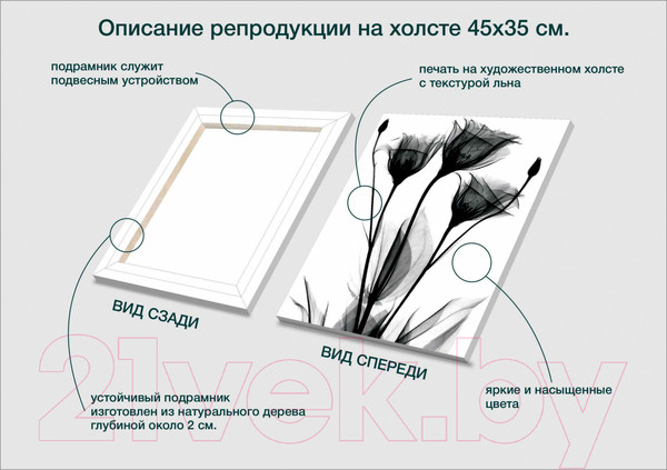 Изображение товара Картина Stamprint Черные цветы 1 TR016 (45x35см)