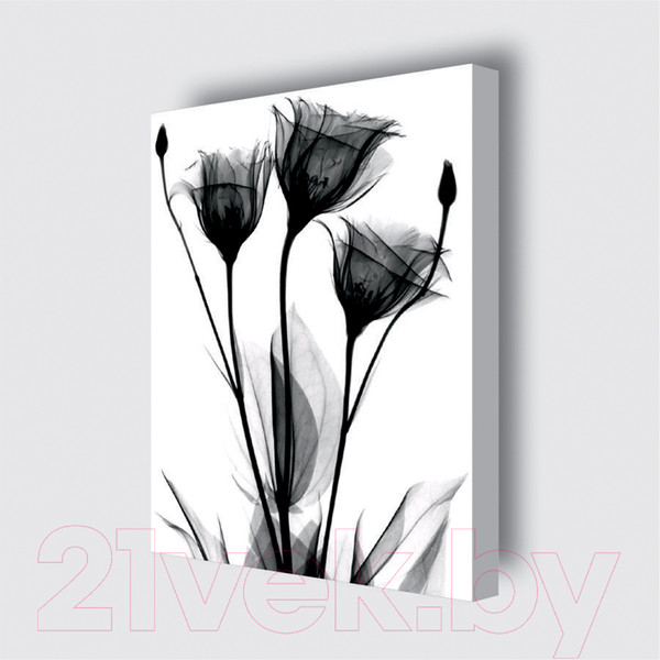 Изображение товара Картина Stamprint Черные цветы 1 TR016 (45x35см)