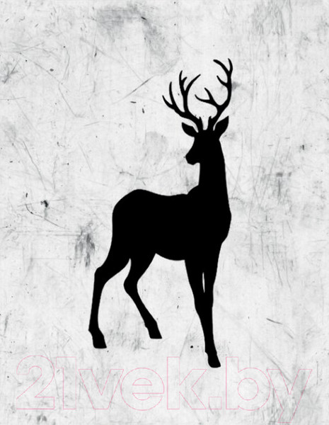 Изображение товара Картина Stamprint Звери 2 TR024 (45x35см)