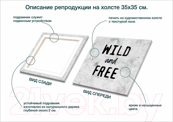 Изображение товара Картина Stamprint Звери 1 TR023 (35x35см)