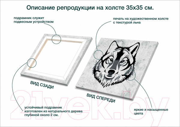 Изображение товара Картина Stamprint Звери 3 TR022 (35x35см)