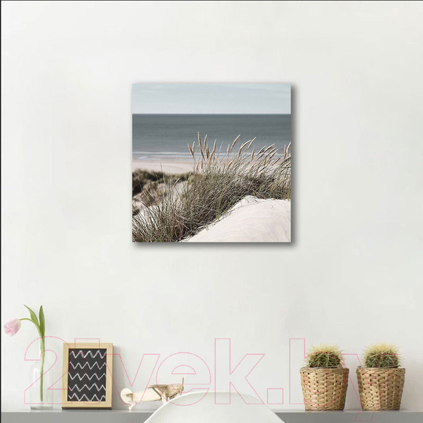 Изображение товара Картина Stamprint Трава 3 SN015 (35x35см)