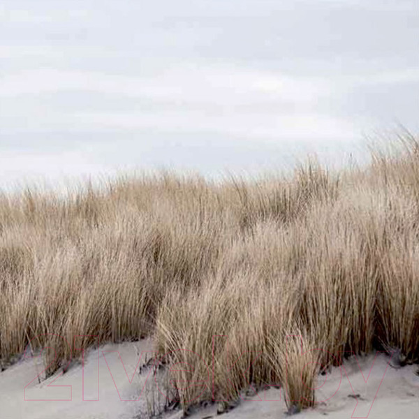 Изображение товара Картина Stamprint Трава 1 SN004 (35x35см)