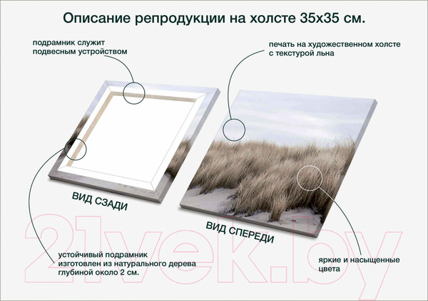 Изображение товара Картина Stamprint Трава 1 SN004 (35x35см)