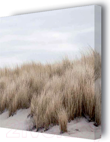 Изображение товара Картина Stamprint Трава 1 SN004 (35x35см)