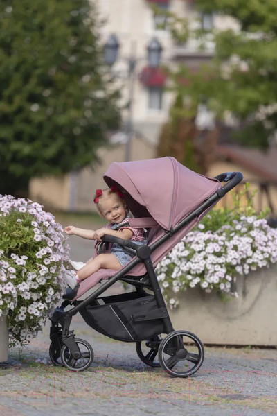 Изображение товара Детская прогулочная коляска Carrello Bravo 2024 / CRL-8512 (Crystal Pink)