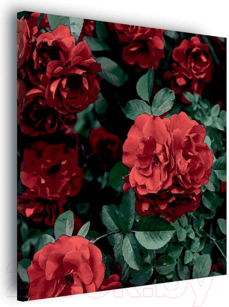 Изображение товара Картина Stamprint Красные розы АT040 (67x67см)