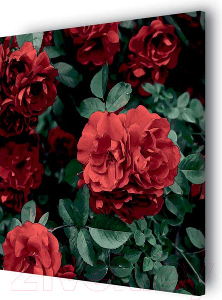 Изображение товара Картина Stamprint Красные розы АT040 (67x67см)