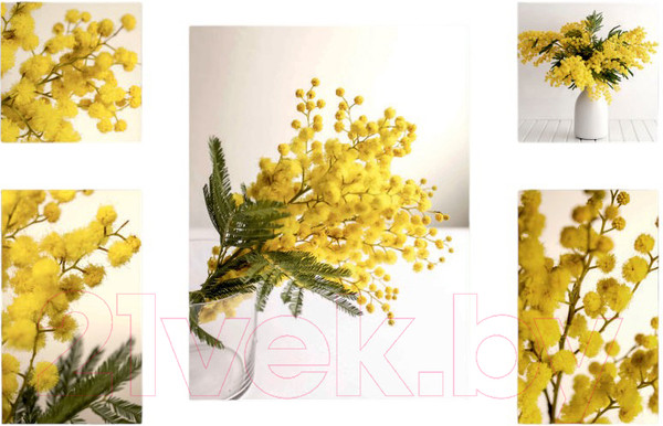 Изображение товара Картины Stamprint Желтая осень CS001 SET5 (90x140см)