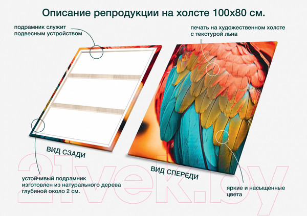 Изображение товара Картина Stamprint Перья попугая AM005 (100x80см)