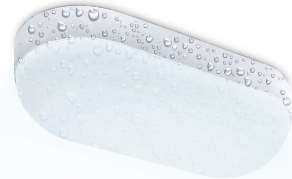 Изображение товара Светильник ЖКХ Ambrella ST8666