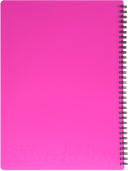 Изображение товара Тетрадь inФормат IFNGR-96-FK (96л, фуксия)