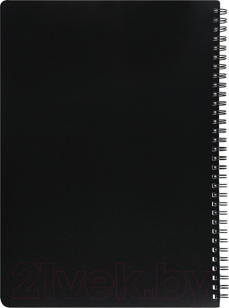 Изображение товара Тетрадь inФормат IFNGR-96-BLK (96л, черный)