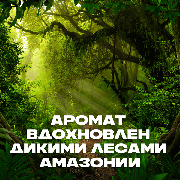Изображение товара Шампунь-гель для душа Axe Сила джунглей (610мл)