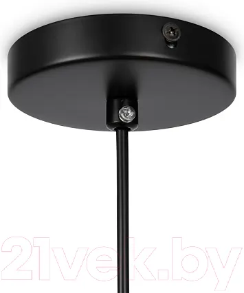 Изображение товара Потолочный светильник Freya Eleon FR5218PL-01B1