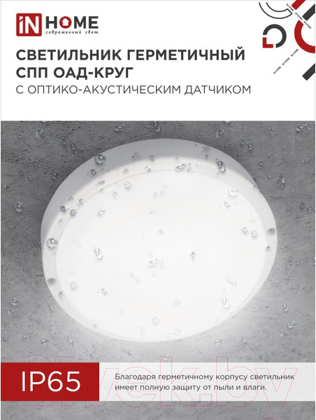 Изображение товара Светильник ЖКХ INhome СПП ОАД-2565-Круг / 4690612049311