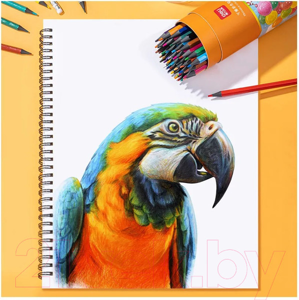 Изображение товара Набор цветных карандашей Deli 7073 (36цв)