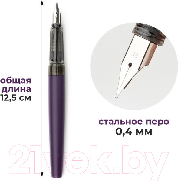 Изображение товара Ручка перьевая Малевичъ С конвертером / 196404 (фиолетовый)