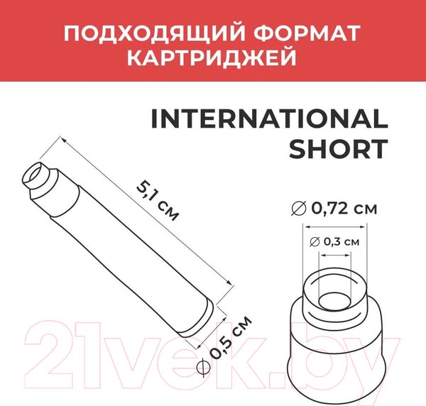 Изображение товара Ручка перьевая Малевичъ С конвертером / 196404 (фиолетовый)