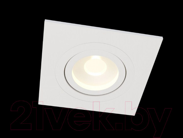 Изображение товара Точечный светильник Maytoni Atom DL024-2-01W