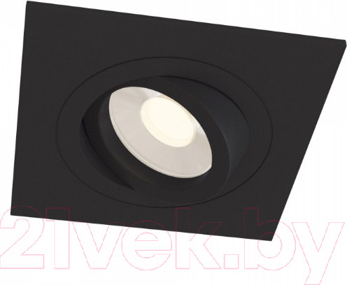 Изображение товара Точечный светильник Maytoni Atom DL024-2-01B