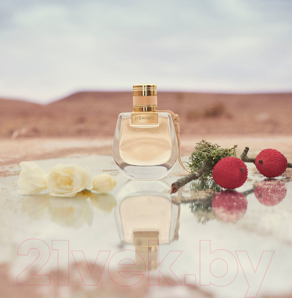 Изображение товара Туалетная вода Chloe Nomade for Women (75мл)