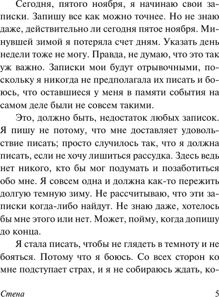 Изображение товара Книга АСТ Стена. Эксклюзивная классика, мягкая обложка (Хаусхофер М.)
