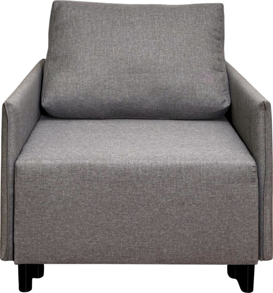 Изображение товара Кресло-кровать Домовой Визит-3 1 (80) (Lux 05)